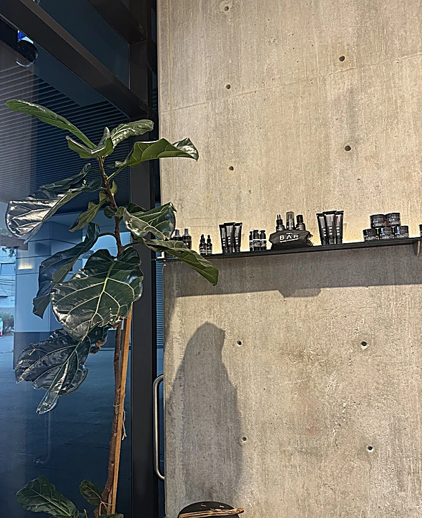 Muro de concreto aparente con huecos de cimbra, un anaquel de productos y un ficus junto al ventanal